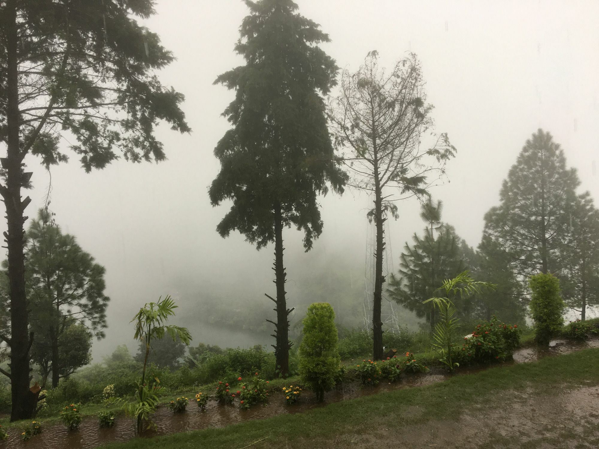 Nainital Adventure Park & Resort מראה חיצוני תמונה